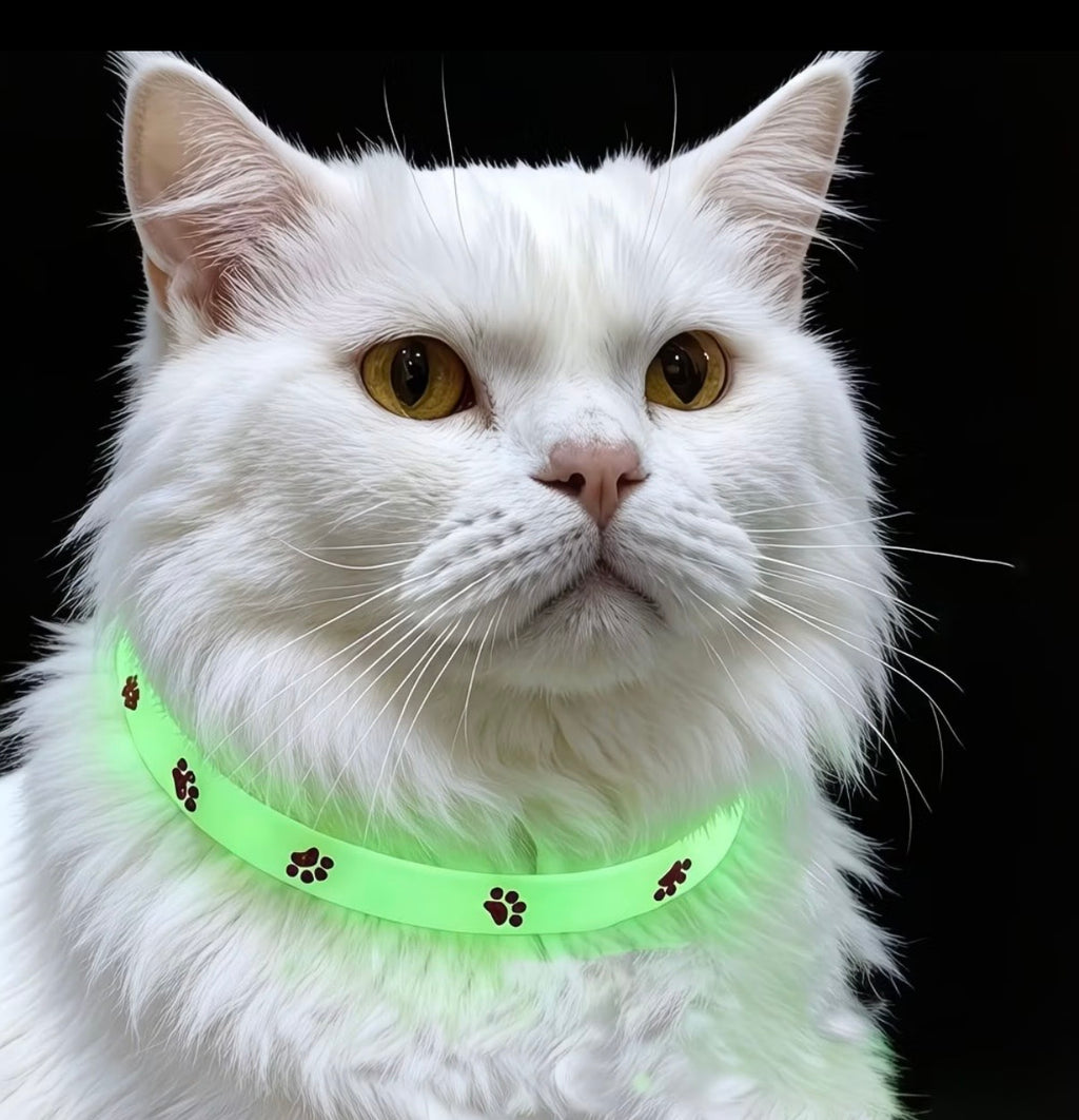 6 mixed Glow-in-the-Dark Cat Collar — 6-Colour Set